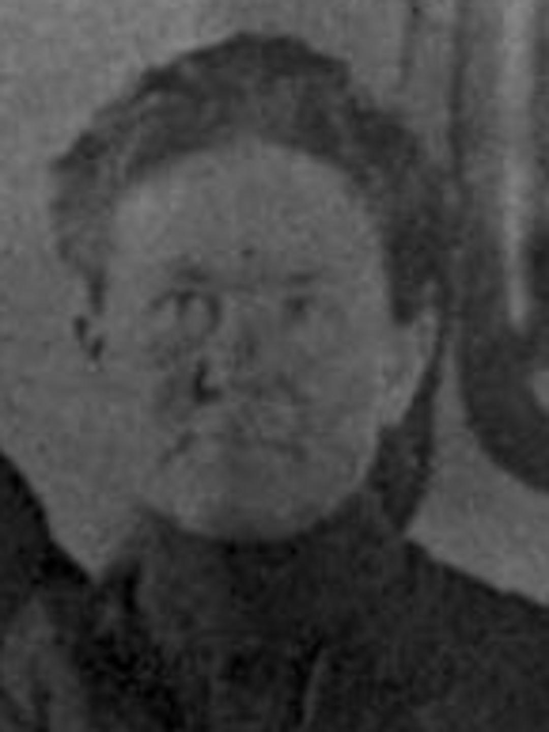 Jessie Ann McBride (1861 - 1937) Profile